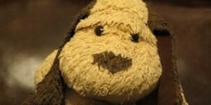 The real Pochi Pochi Was Here Pochi Visits the Land of the Rising Sun Barnes & Noble Amazon K Richard Douglas